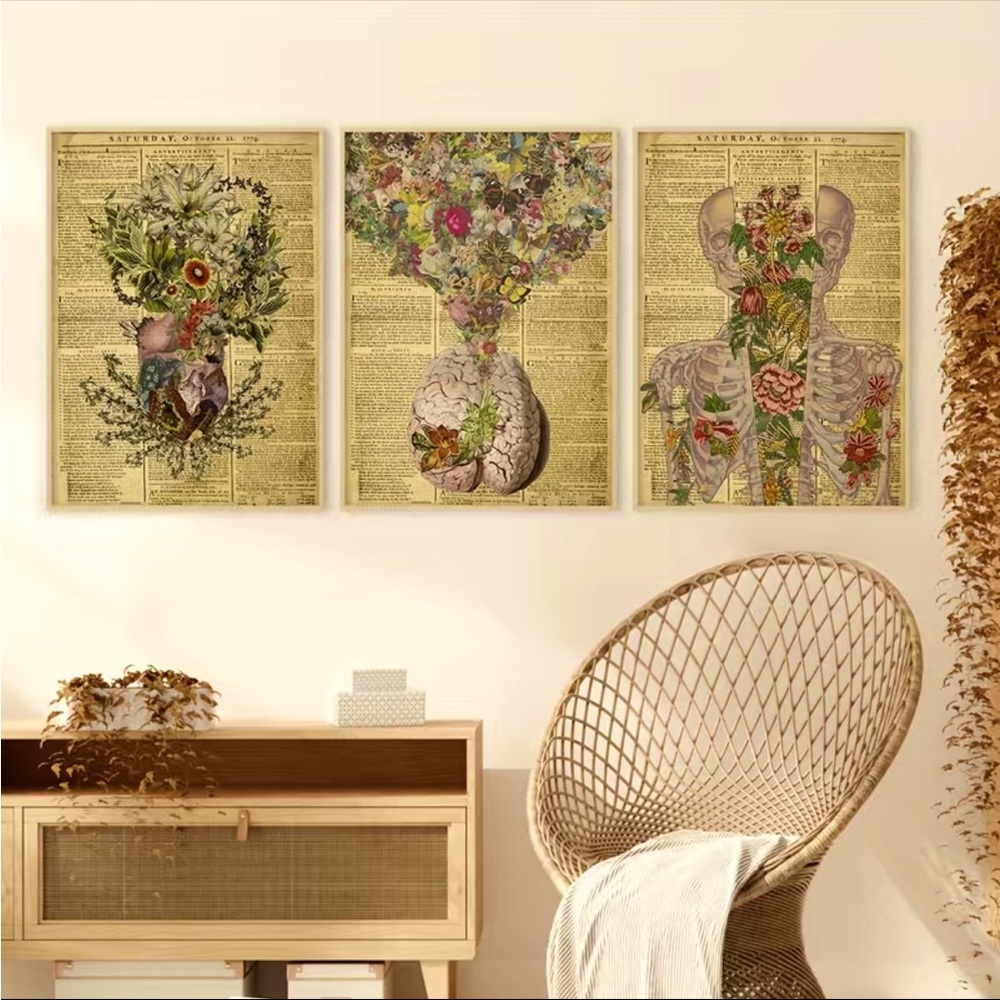 3 piece wall art print set boho skeleton cottage core